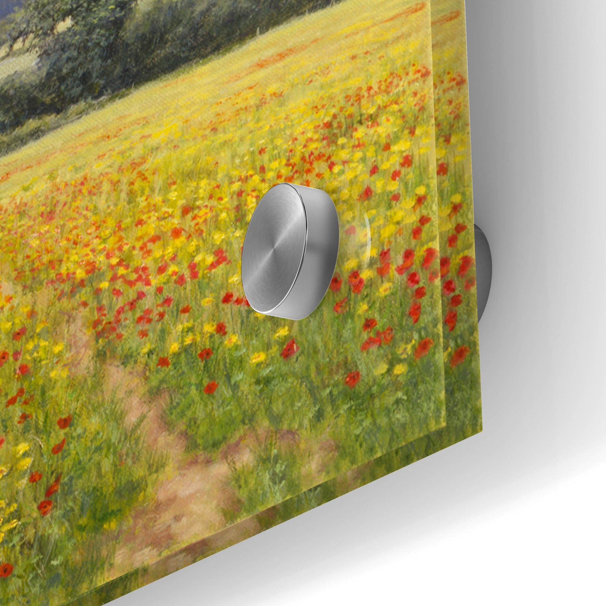 Epic Art 'Poppies' by Bill Makinson, Acrylic Glass Wall Art,36x12