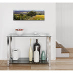 Poppies by Bill Makinson - 36x12 acrylic wall art in a room