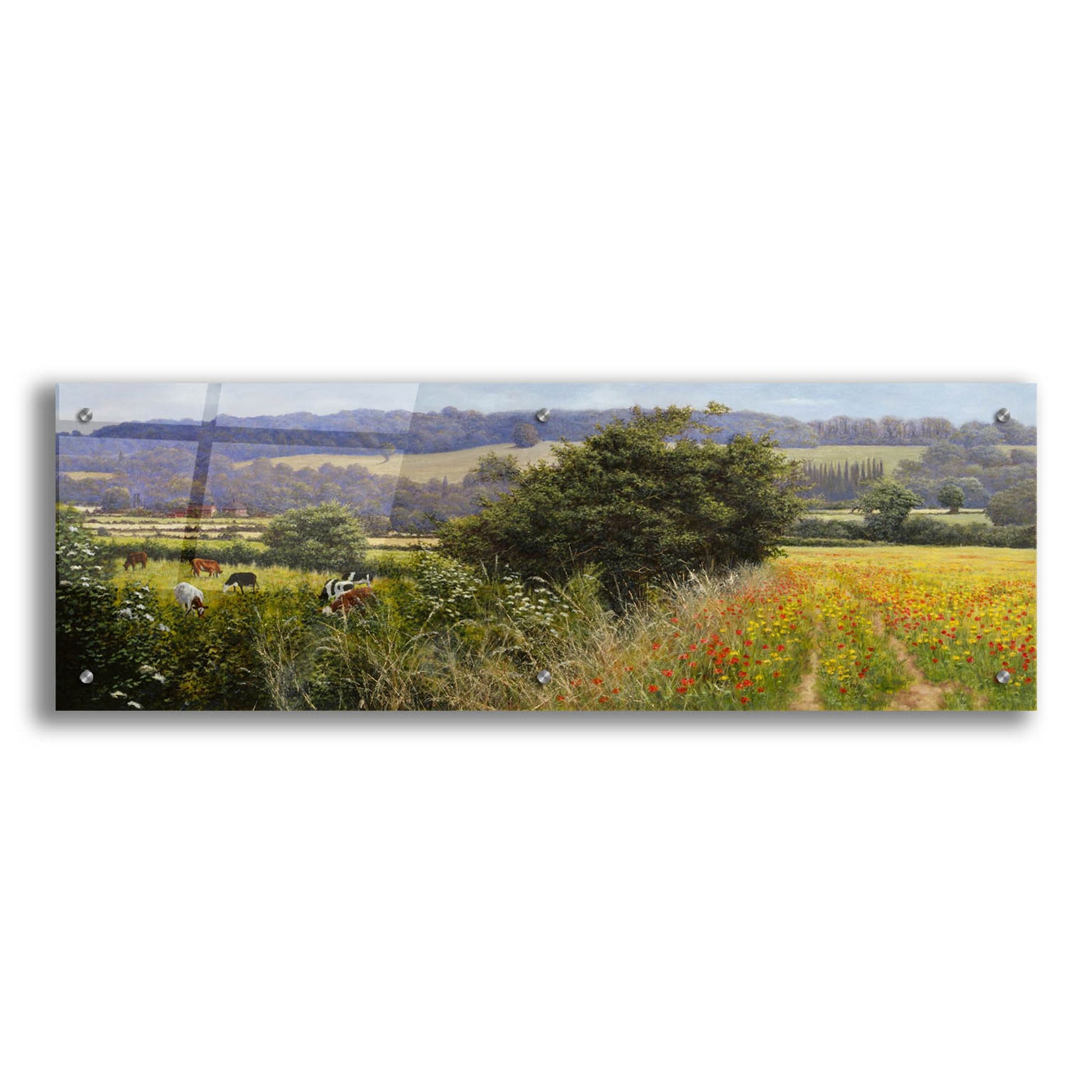 Epic Art 'Poppies' by Bill Makinson, Acrylic Glass Wall Art,36x12