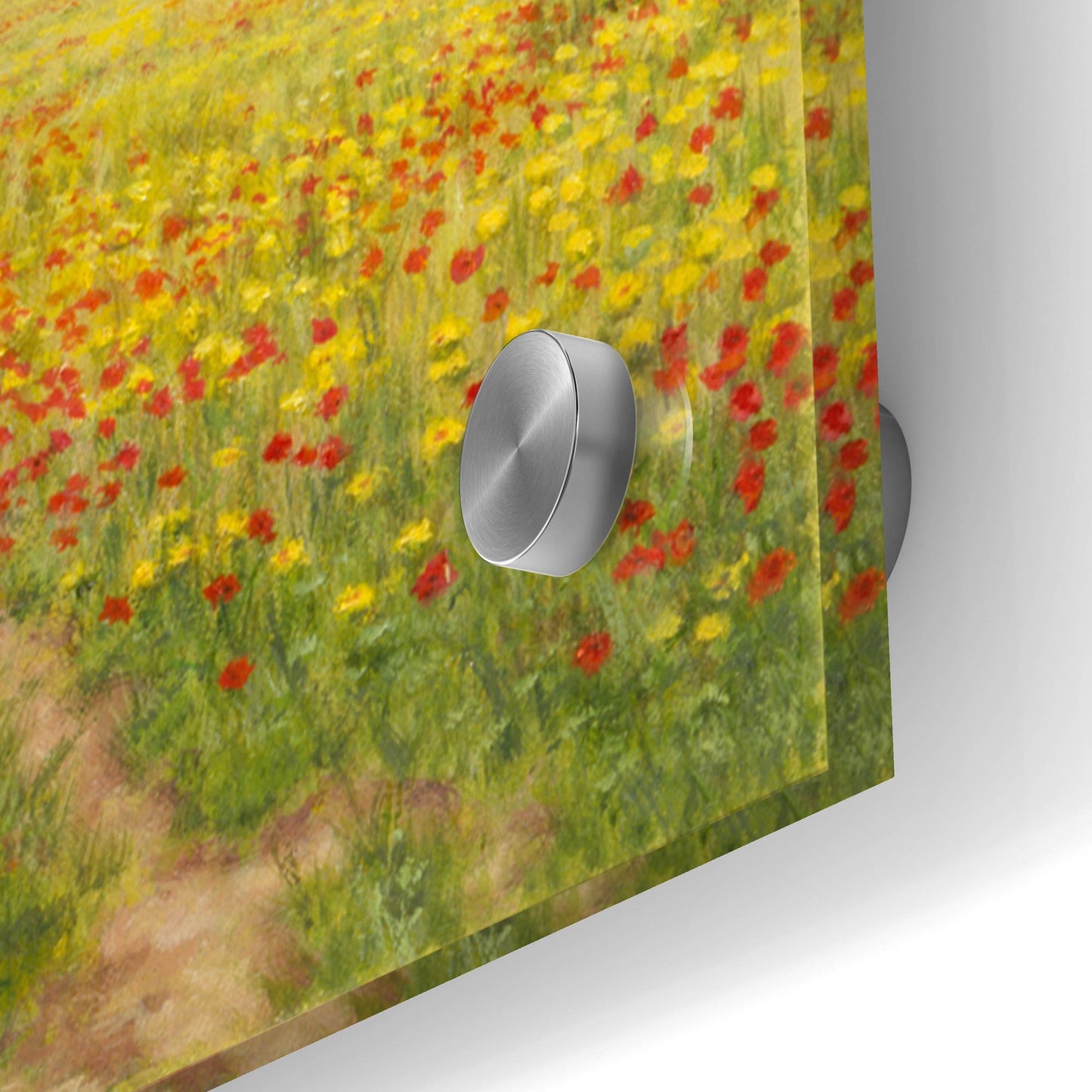 Epic Art 'Poppies' by Bill Makinson, Acrylic Glass Wall Art,48x16