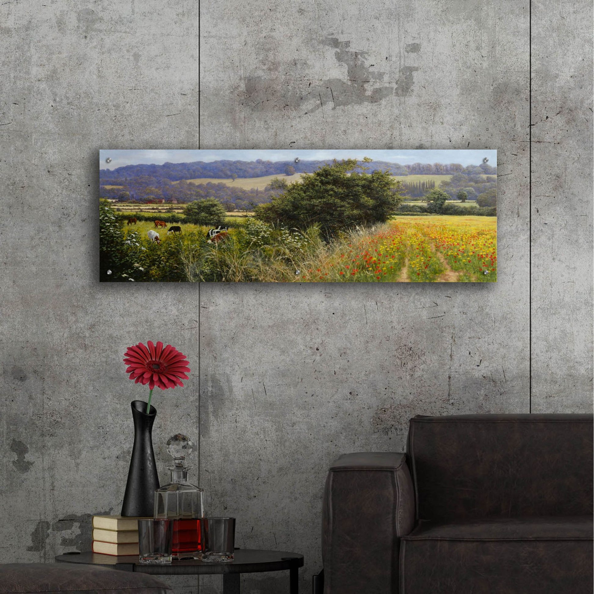 Epic Art 'Poppies' by Bill Makinson, Acrylic Glass Wall Art,48x16