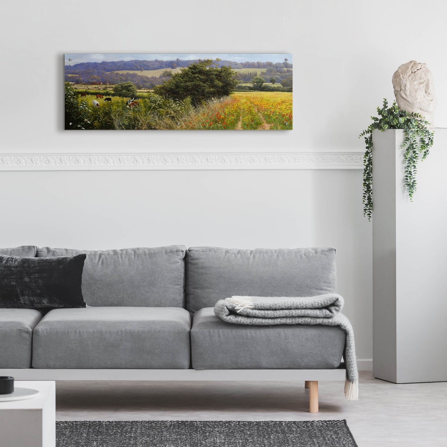 Epic Art 'Poppies' by Bill Makinson, Acrylic Glass Wall Art,48x16