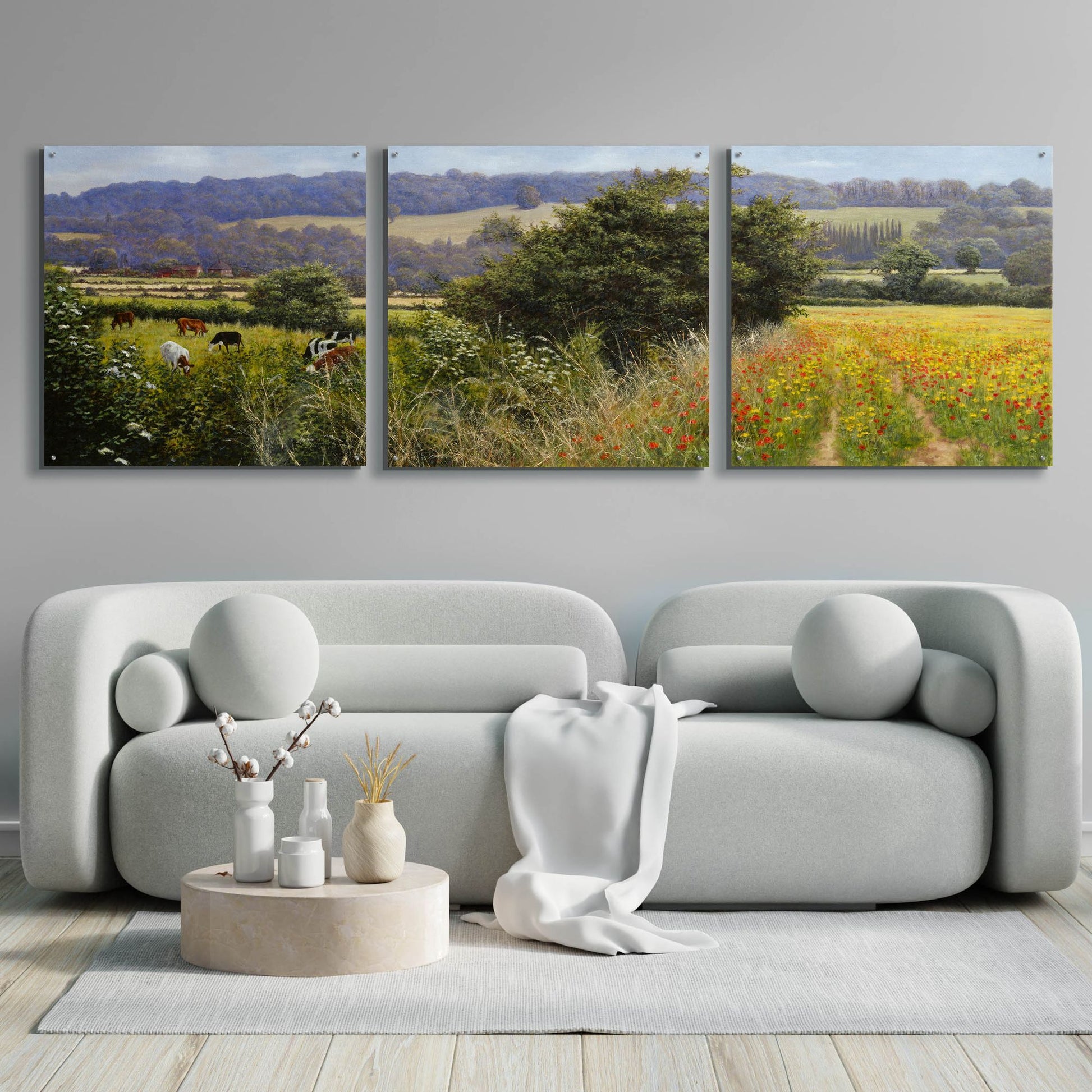 Epic Art 'Poppies' by Bill Makinson, Acrylic Glass Wall Art, 3 Piece Set,108x36