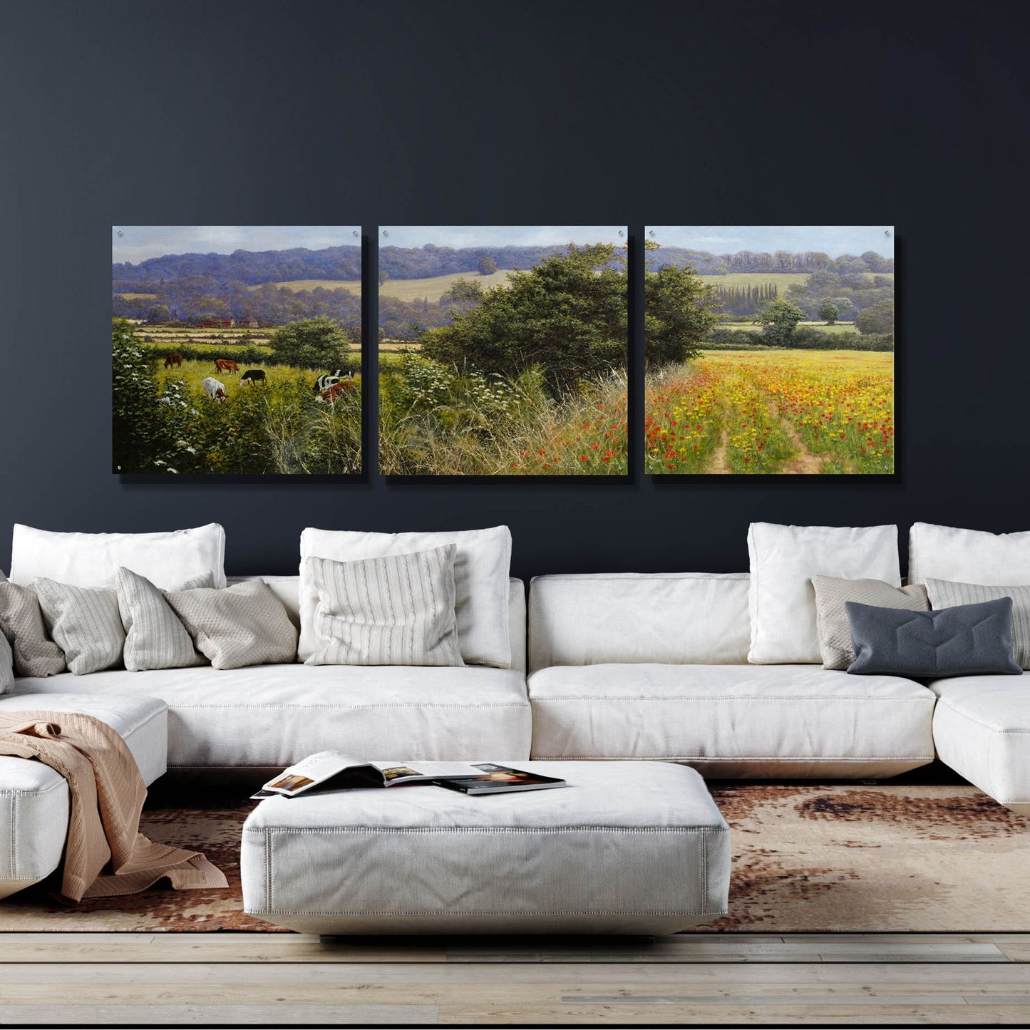 Epic Art 'Poppies' by Bill Makinson, Acrylic Glass Wall Art, 3 Piece Set,108x36