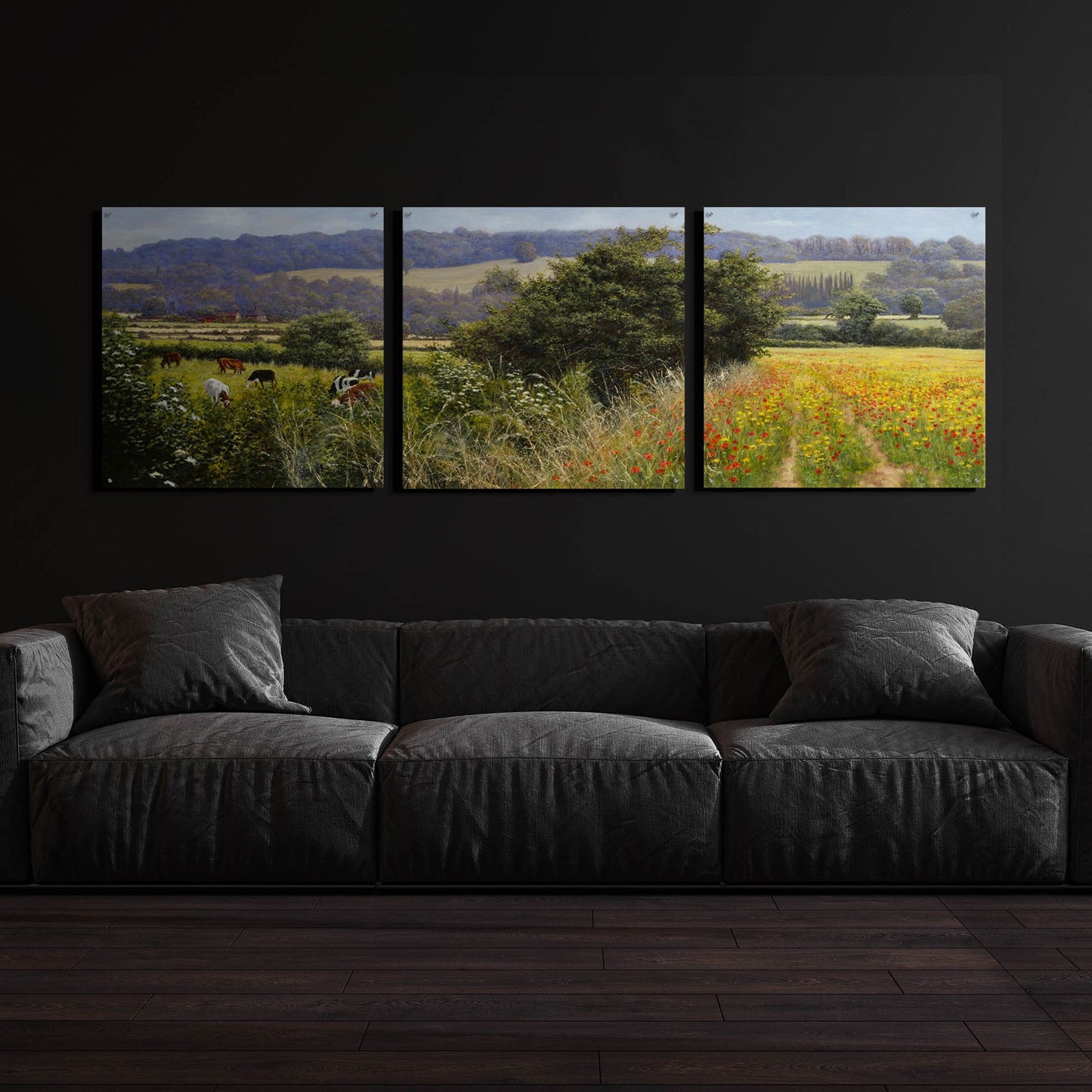 Epic Art 'Poppies' by Bill Makinson, Acrylic Glass Wall Art, 3 Piece Set,108x36