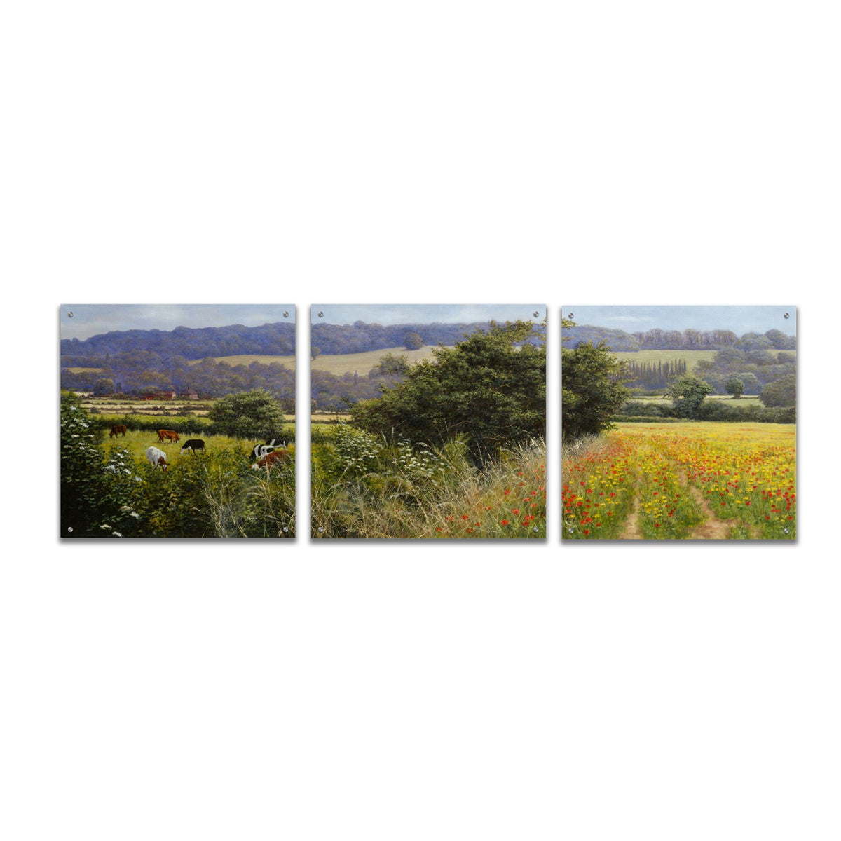 Poppies by Bill Makinson acrylic glass wall art