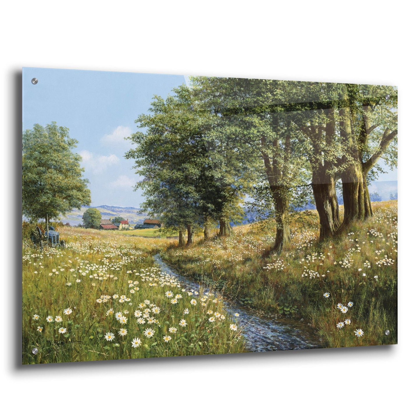 Epic Art 'Beeches And Daisies' by Bill Makinson, Acrylic Glass Wall Art,36x24