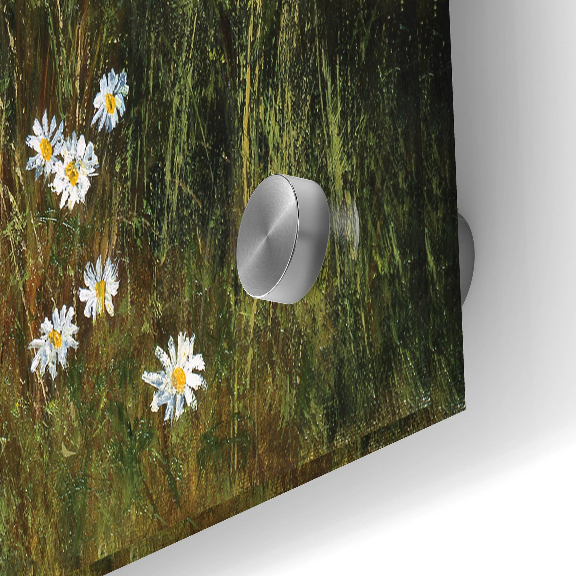 Epic Art 'Beeches And Daisies' by Bill Makinson, Acrylic Glass Wall Art,36x24