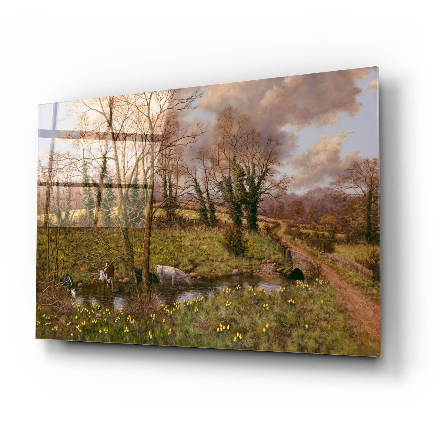 Epic Art 'Cattle And Daffodils' by Bill Makinson, Acrylic Glass Wall Art,24x16