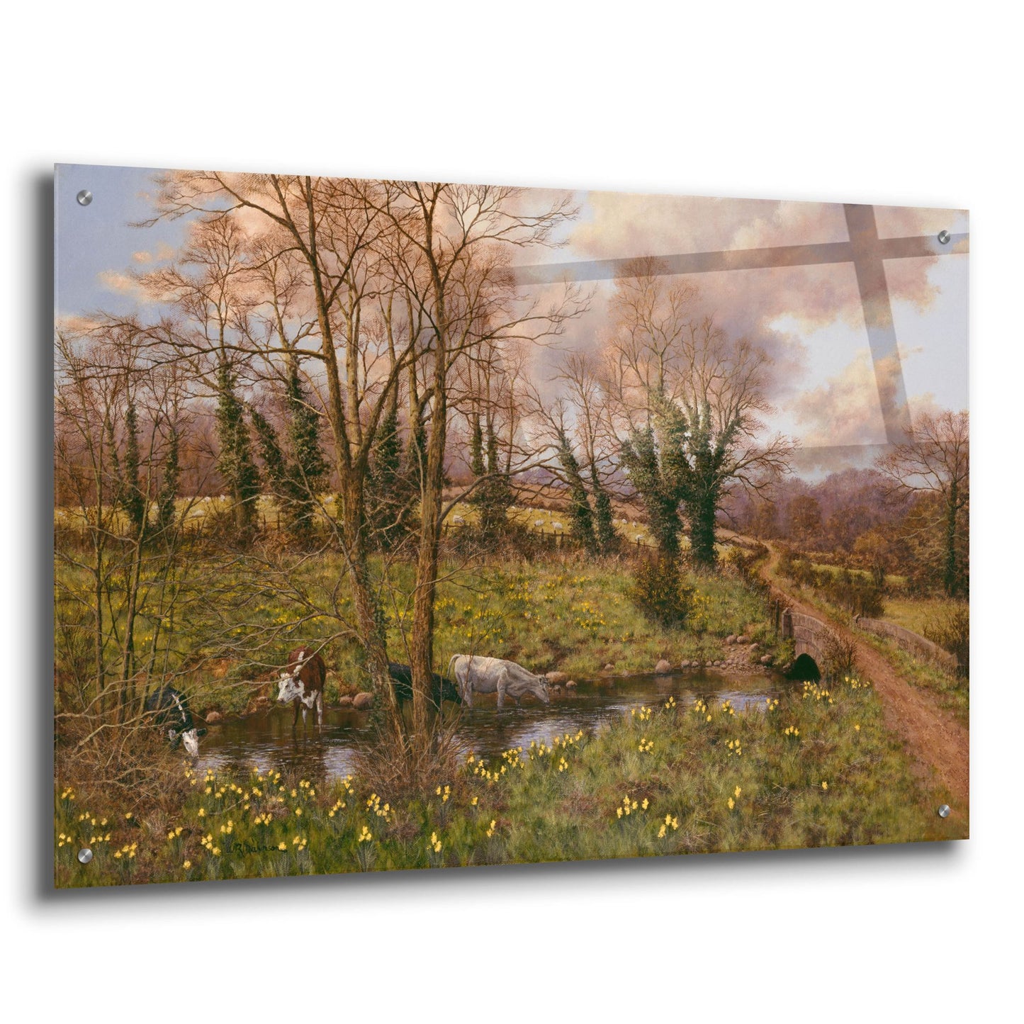 Epic Art 'Cattle And Daffodils' by Bill Makinson, Acrylic Glass Wall Art,36x24