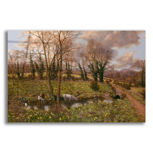 Epic Art 'Cattle And Daffodils' by Bill Makinson, Acrylic Glass Wall Art