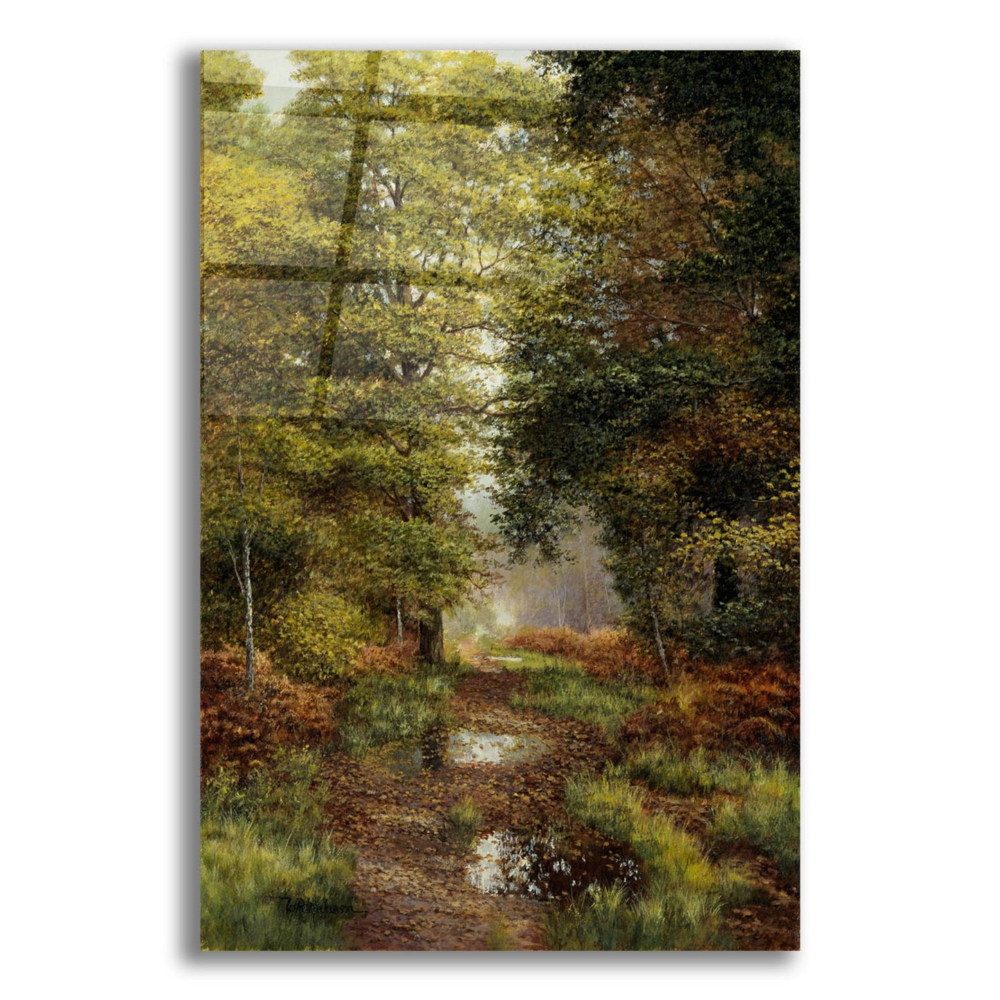 Epic Art 'Woodland In The Fall' by Bill Makinson, Acrylic Glass Wall Art,16x24