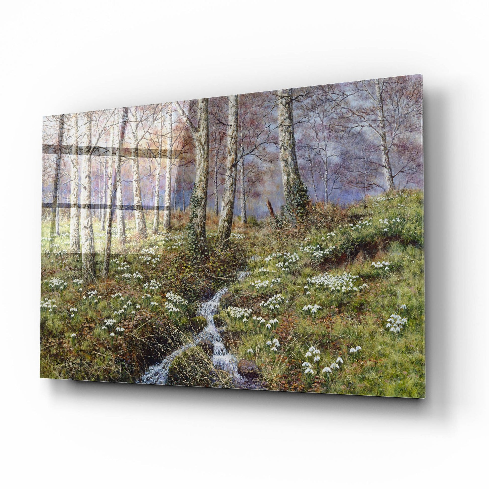 Epic Art 'Snowdrop Dell' by Bill Makinson, Acrylic Glass Wall Art,16x12