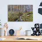 Snowdrop Dell by Bill Makinson - 16x12 acrylic wall art in a room