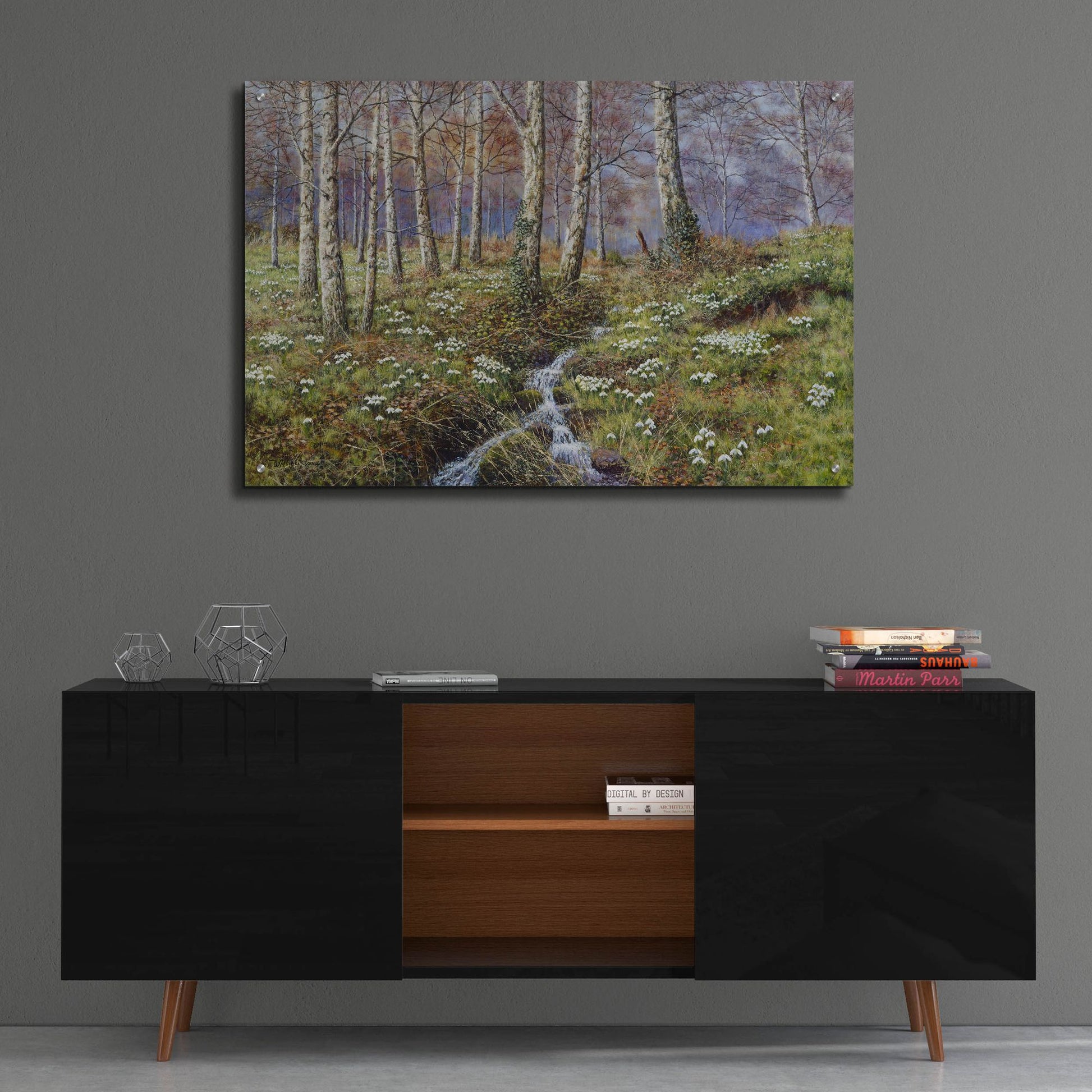 Epic Art 'Snowdrop Dell' by Bill Makinson, Acrylic Glass Wall Art,36x24