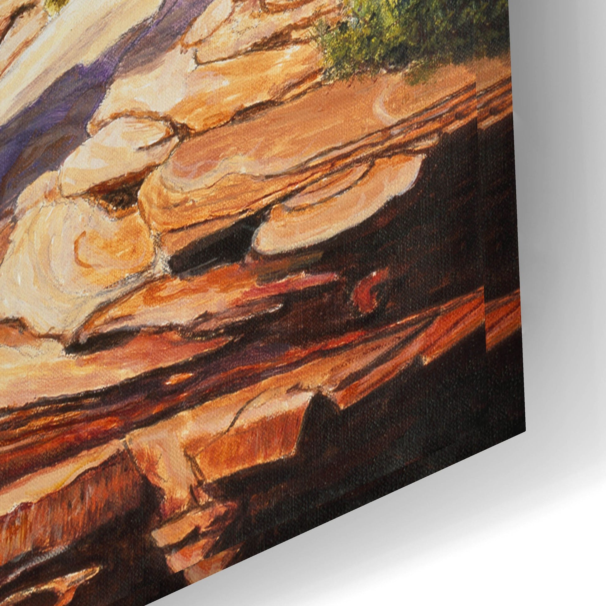 Epic Art 'Zion 2' by Bill Makinson, Acrylic Glass Wall Art,24x16