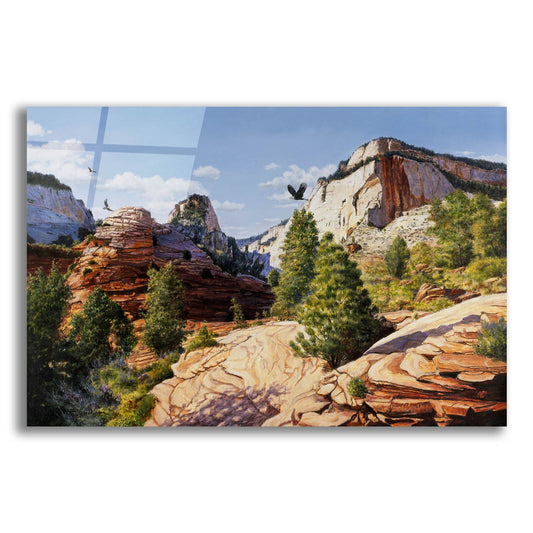 Epic Art 'Zion 2' by Bill Makinson, Acrylic Glass Wall Art