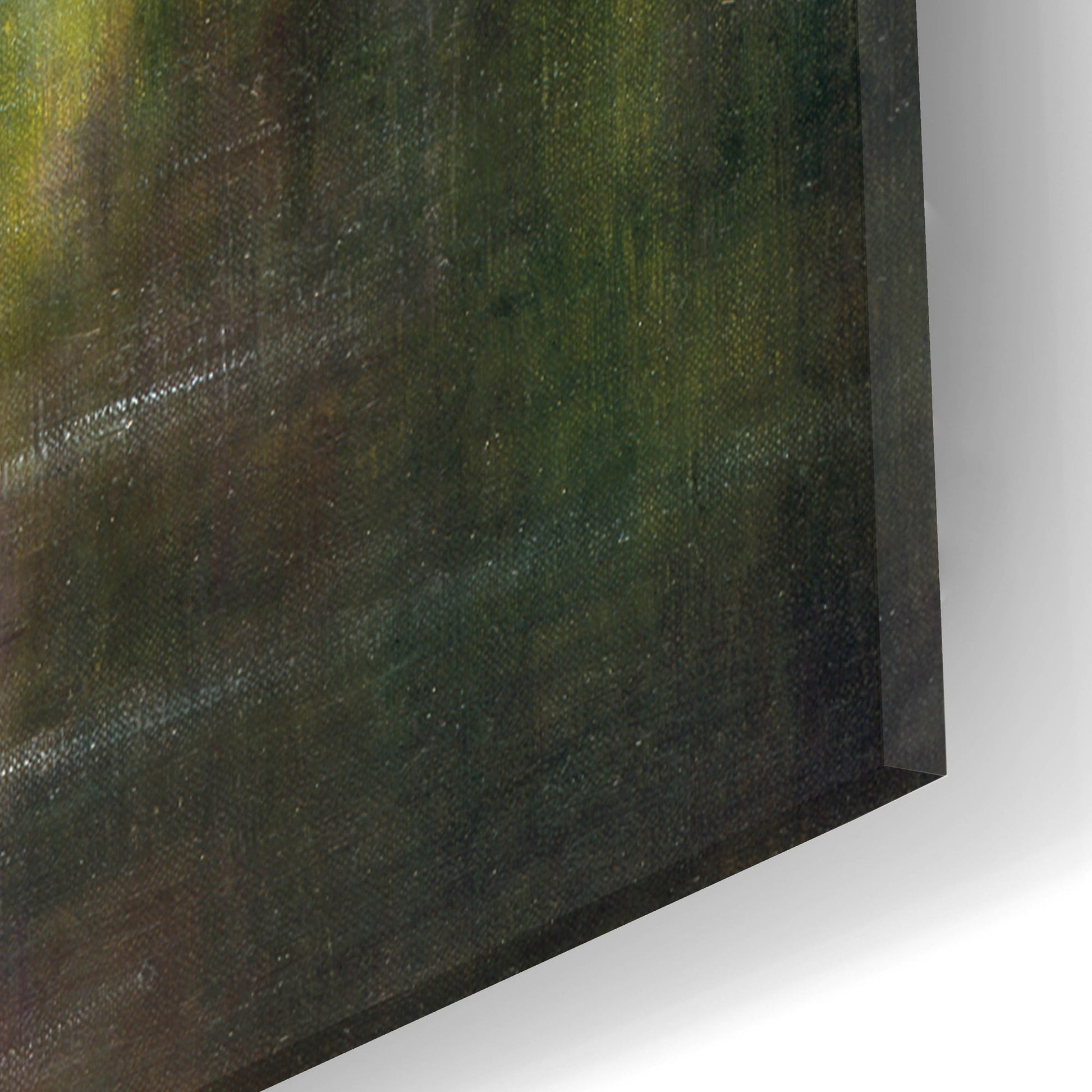 Epic Art 'Quiet Forest' by Bill Makinson, Acrylic Glass Wall Art,16x24