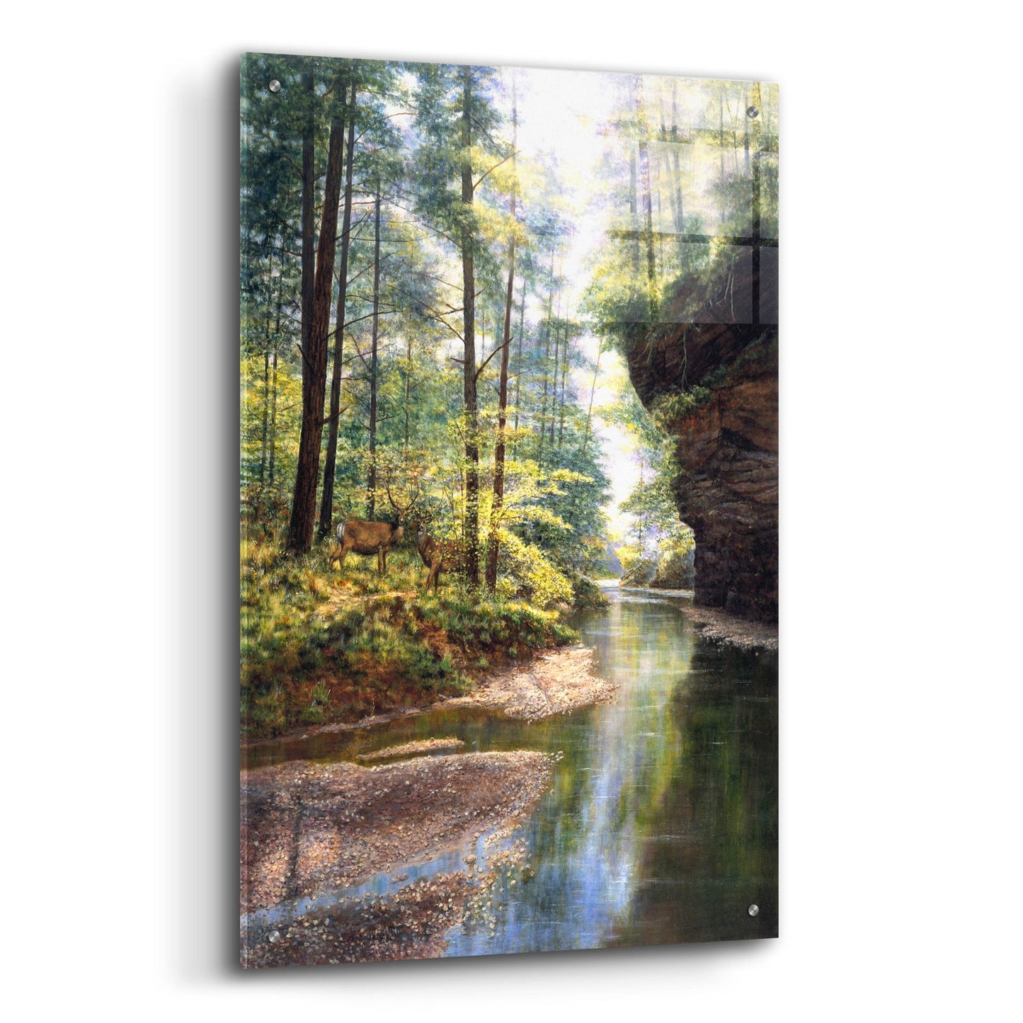 Epic Art 'Quiet Forest' by Bill Makinson, Acrylic Glass Wall Art,24x36