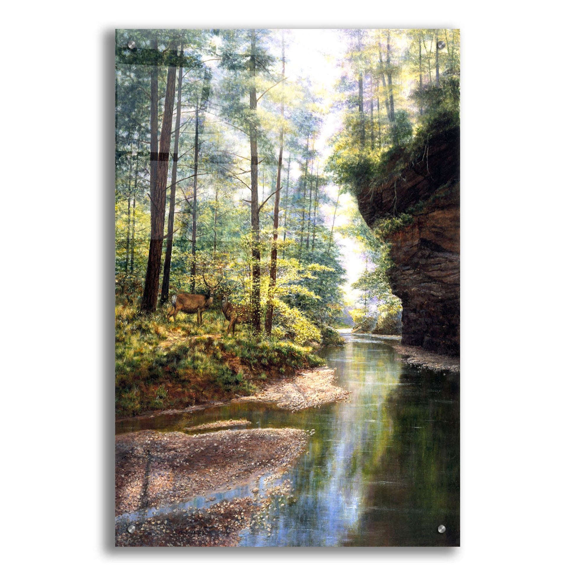 Epic Art 'Quiet Forest' by Bill Makinson, Acrylic Glass Wall Art,24x36