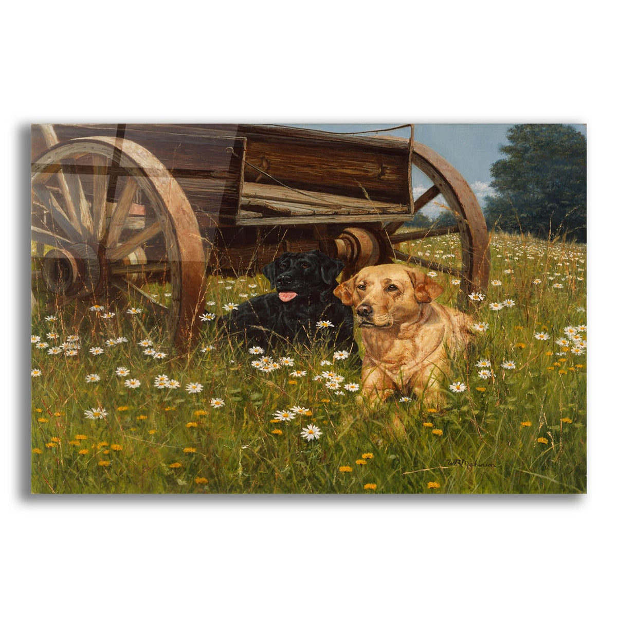 Rest Awhile by Bill Makinson acrylic glass wall art