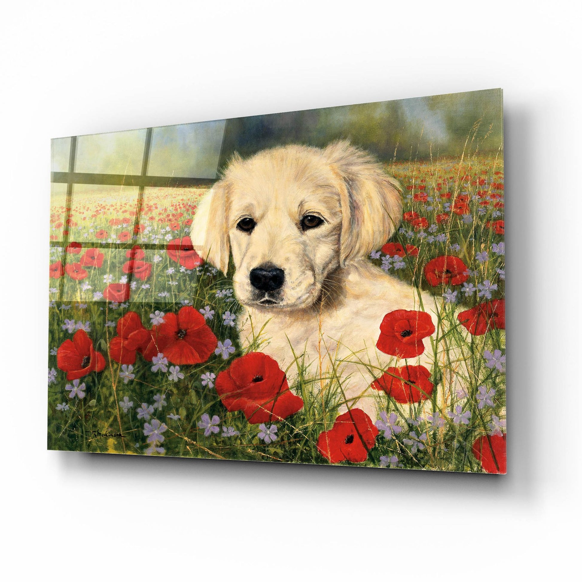 Epic Art 'Puppy And Poppies' by Bill Makinson, Acrylic Glass Wall Art,16x12