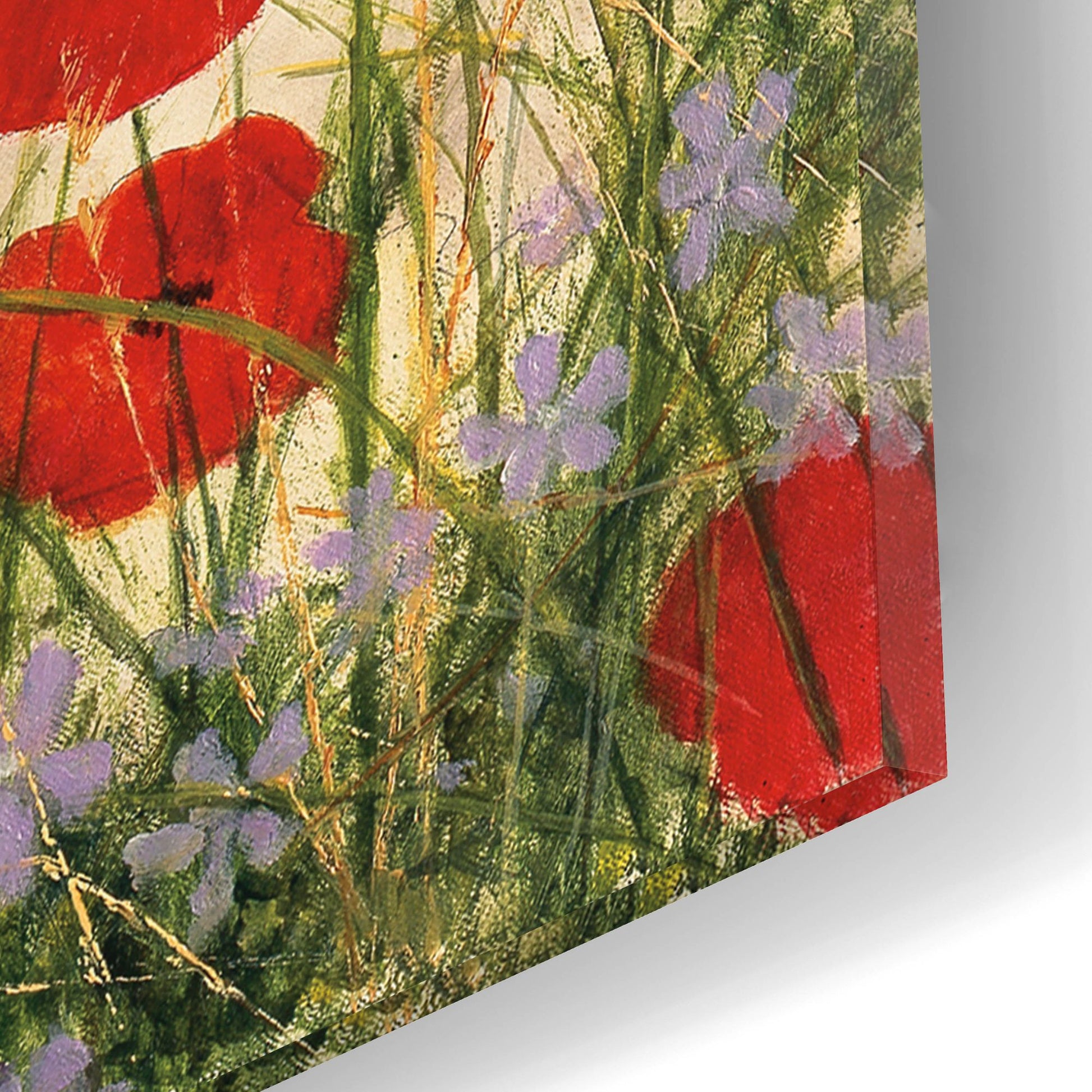 Epic Art 'Puppy And Poppies' by Bill Makinson, Acrylic Glass Wall Art,16x12