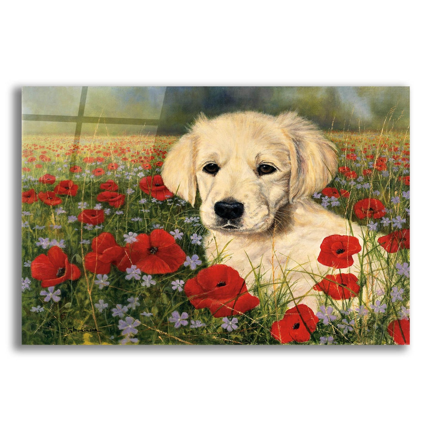 Epic Art 'Puppy And Poppies' by Bill Makinson, Acrylic Glass Wall Art,16x12