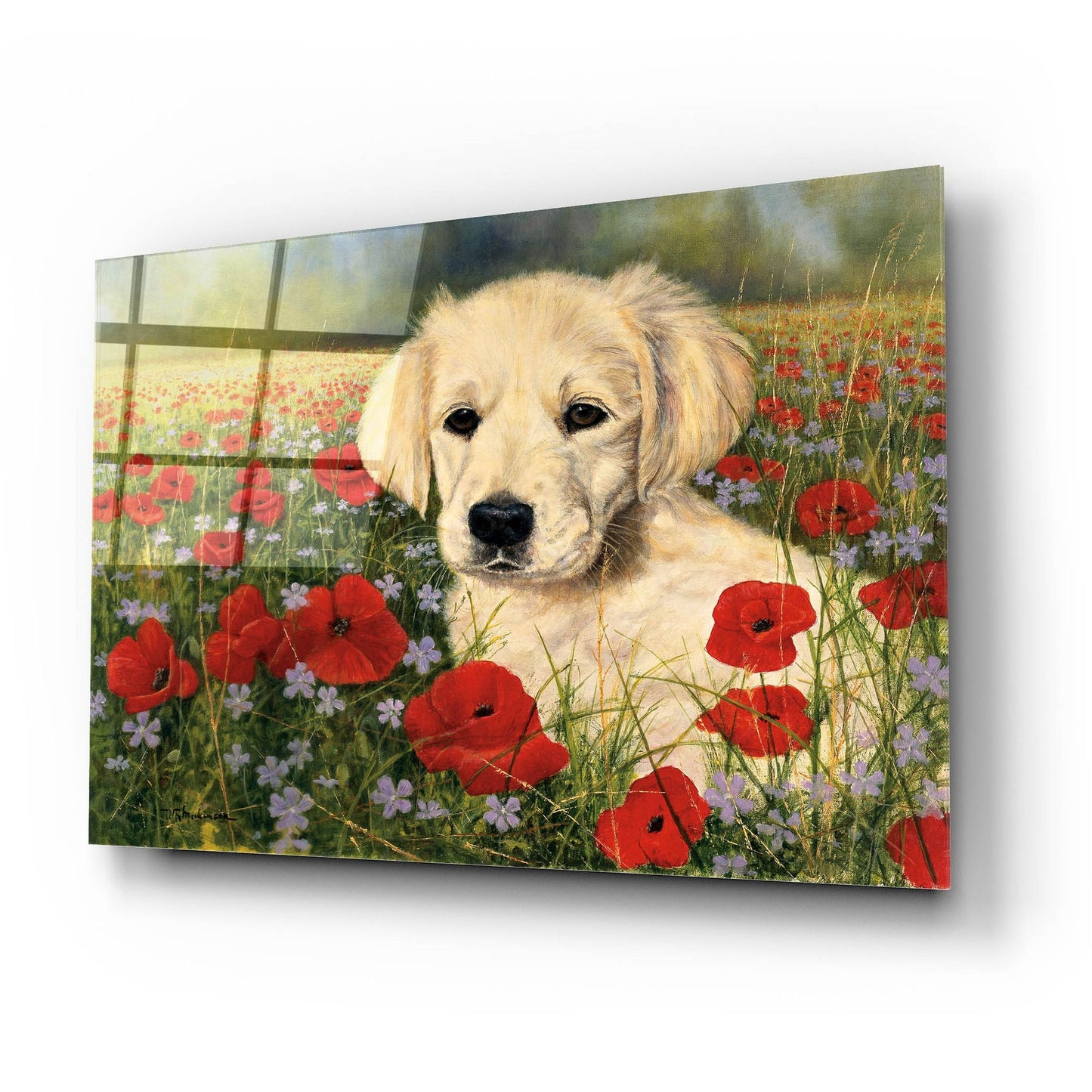 Epic Art 'Puppy And Poppies' by Bill Makinson, Acrylic Glass Wall Art,24x16