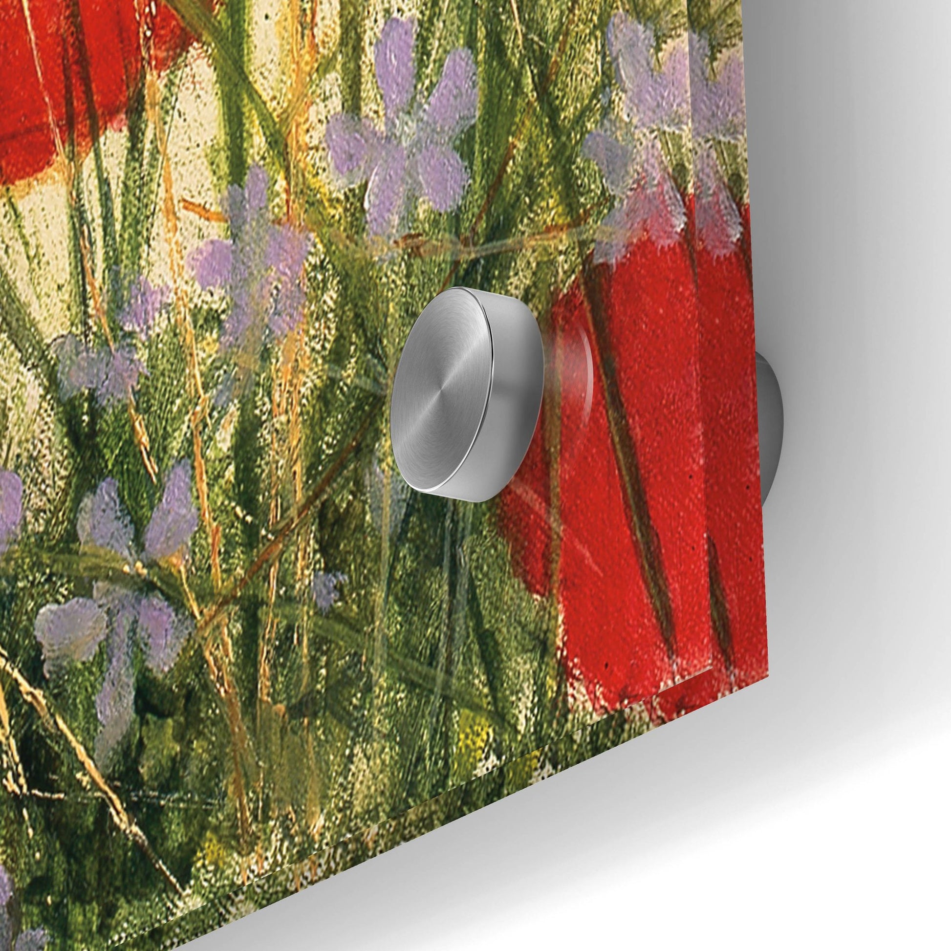 Epic Art 'Puppy And Poppies' by Bill Makinson, Acrylic Glass Wall Art,36x24