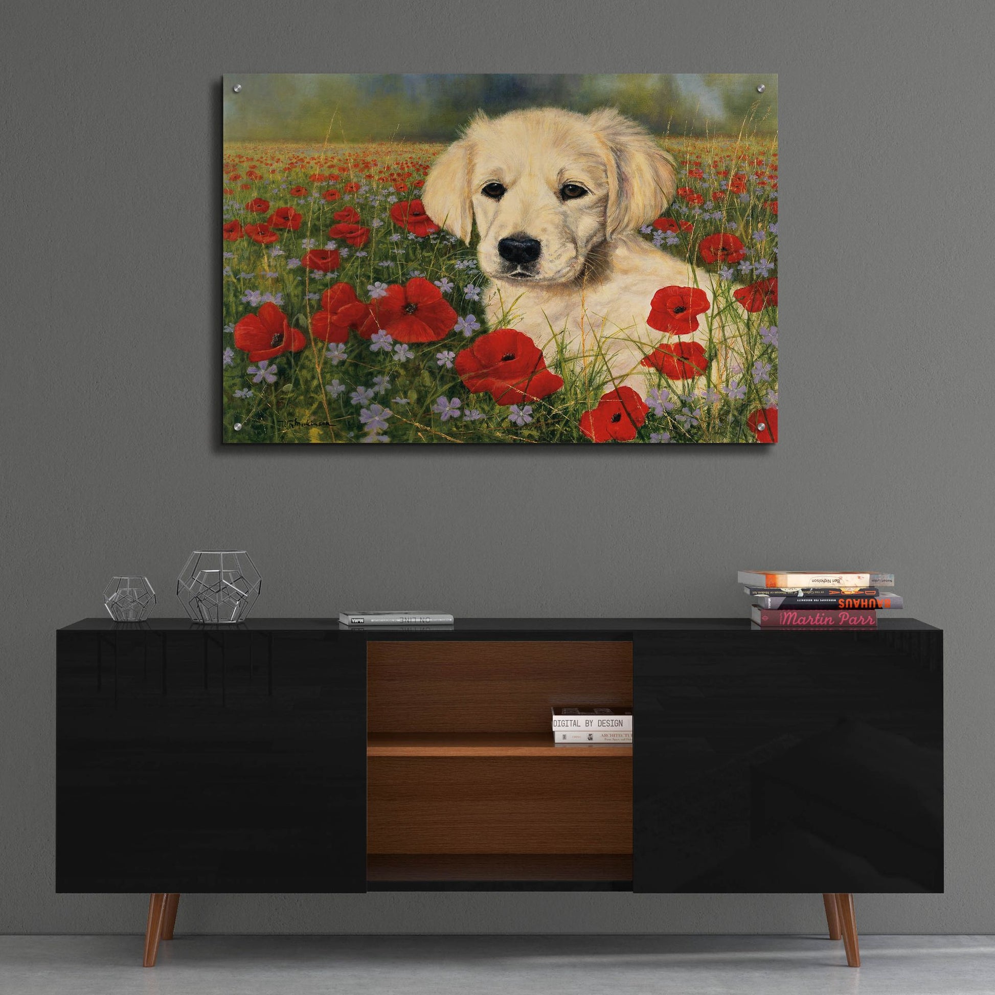 Epic Art 'Puppy And Poppies' by Bill Makinson, Acrylic Glass Wall Art,36x24