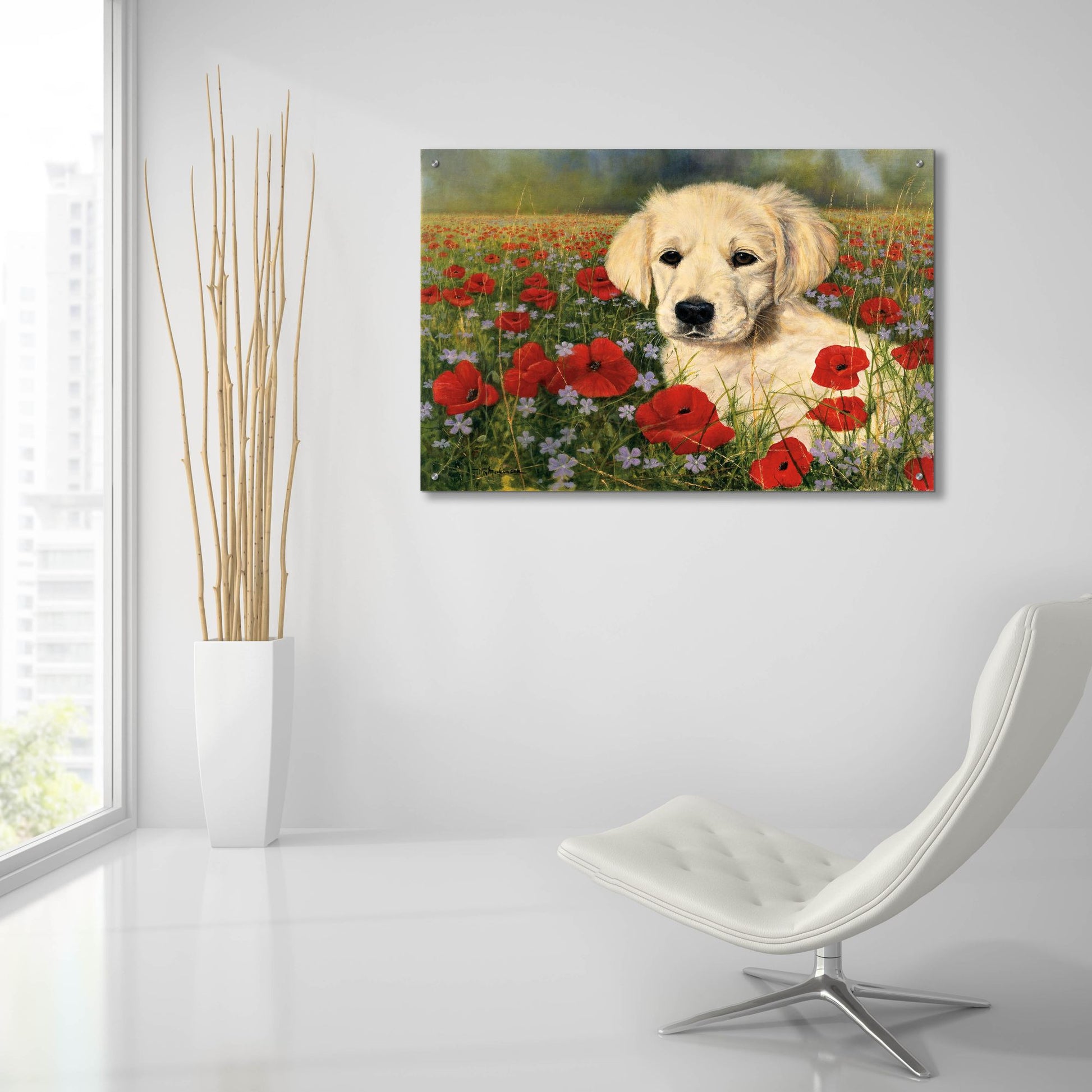 Epic Art 'Puppy And Poppies' by Bill Makinson, Acrylic Glass Wall Art,36x24