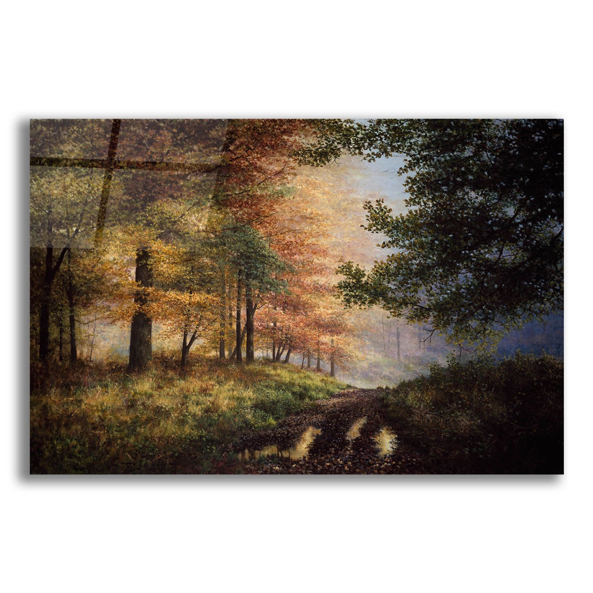 Epic Art 'Fall In The Pines' by Bill Makinson, Acrylic Glass Wall Art,24x16