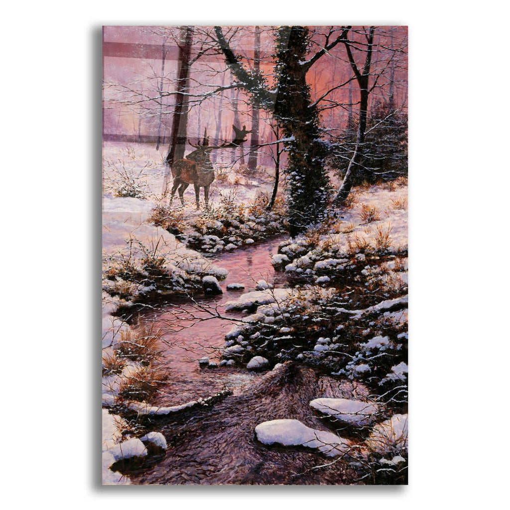 Something Stirs by Bill Makinson acrylic glass wall art