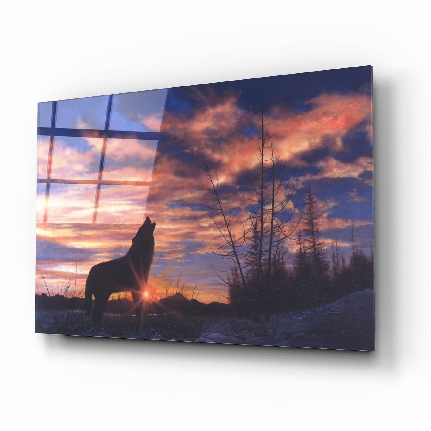 Epic Art 'Sky Wolf' by Bill Makinson, Acrylic Glass Wall Art,16x12