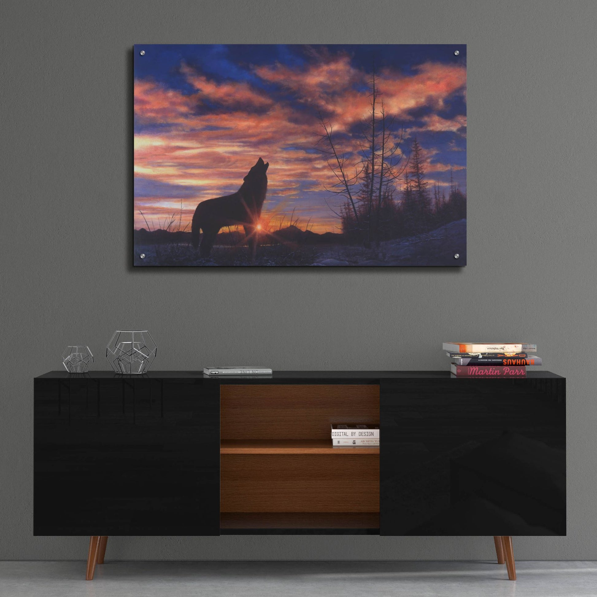 Epic Art 'Sky Wolf' by Bill Makinson, Acrylic Glass Wall Art,36x24