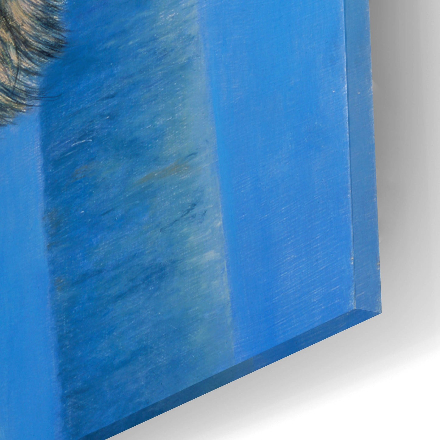 Epic Art 'Birch Wolf' by Bill Makinson, Acrylic Glass Wall Art,16x12
