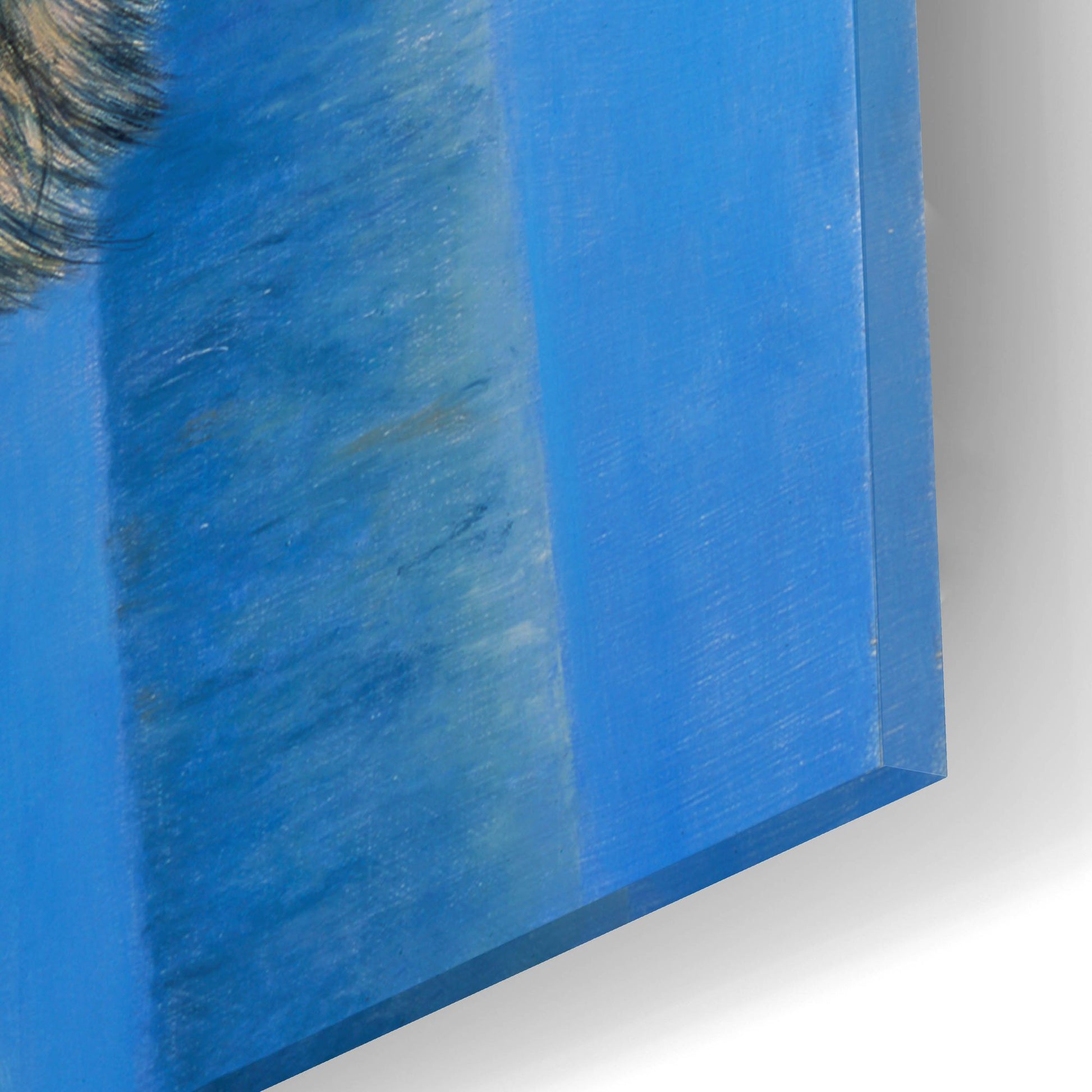 Epic Art 'Birch Wolf' by Bill Makinson, Acrylic Glass Wall Art,16x12