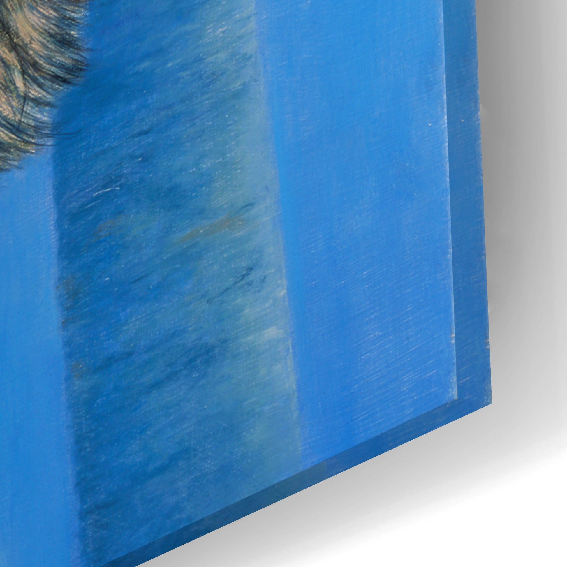Epic Art 'Birch Wolf' by Bill Makinson, Acrylic Glass Wall Art,24x16