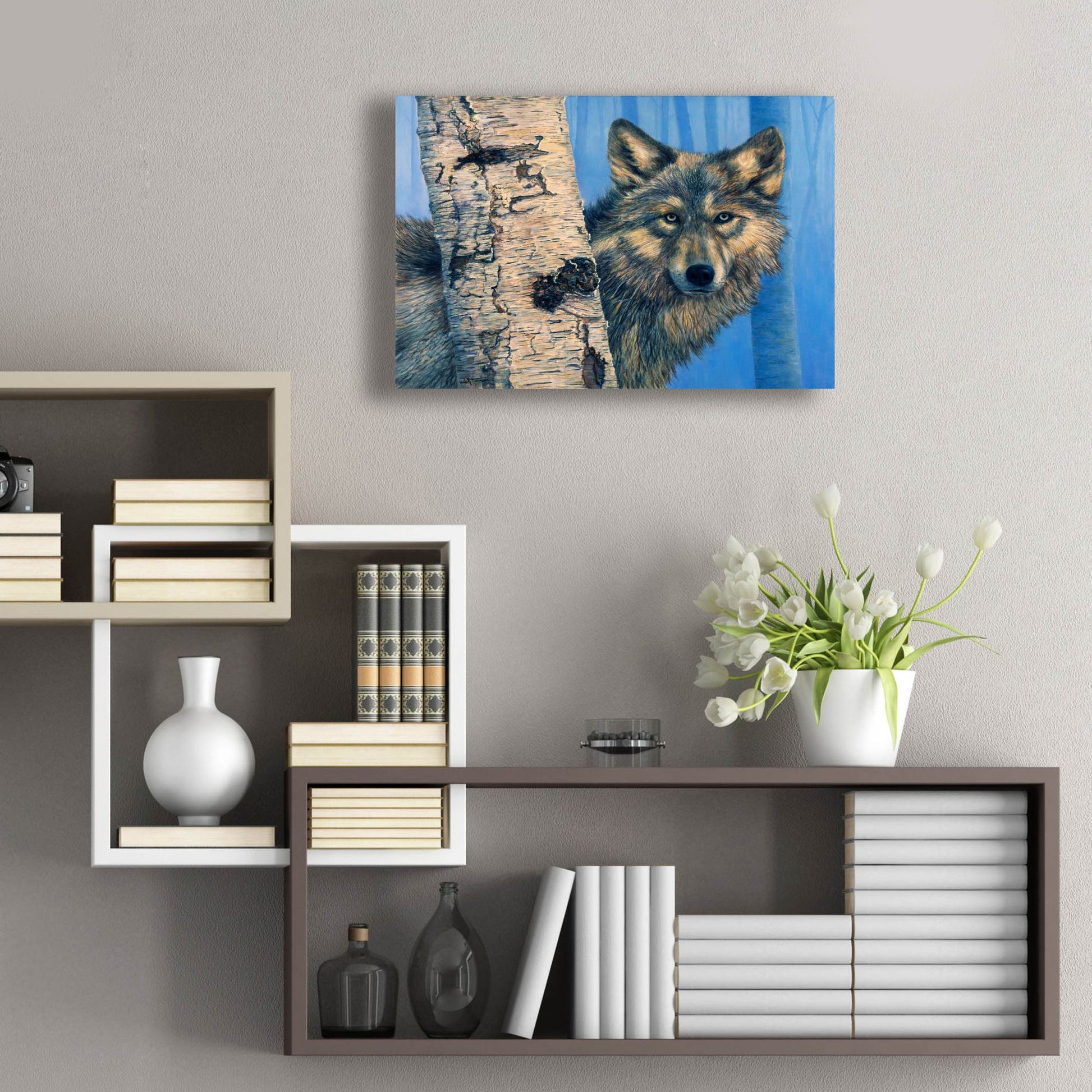 Epic Art 'Birch Wolf' by Bill Makinson, Acrylic Glass Wall Art,24x16