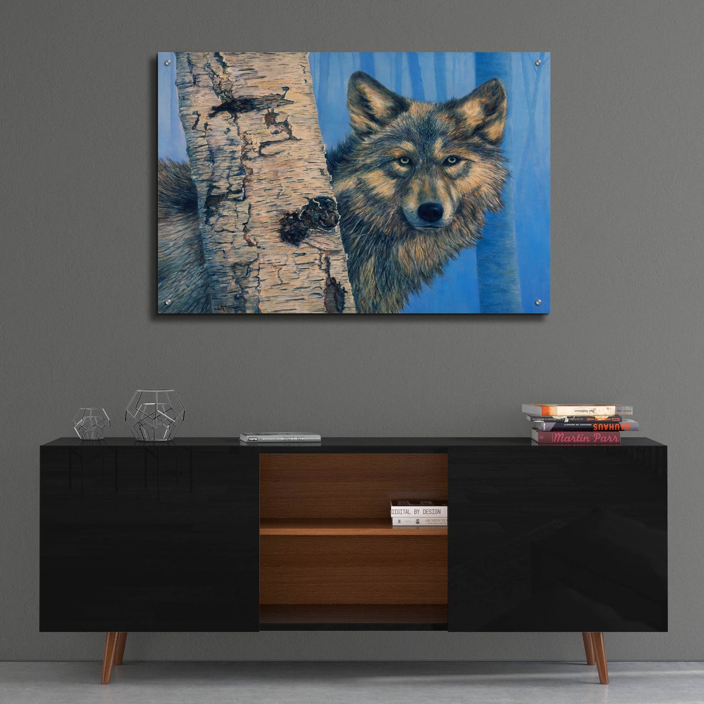 Epic Art 'Birch Wolf' by Bill Makinson, Acrylic Glass Wall Art,36x24