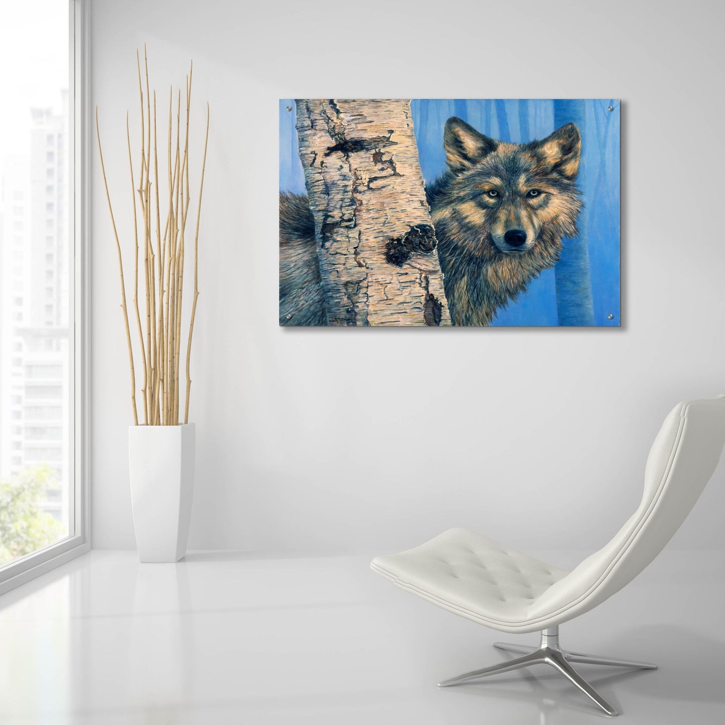 Epic Art 'Birch Wolf' by Bill Makinson, Acrylic Glass Wall Art,36x24
