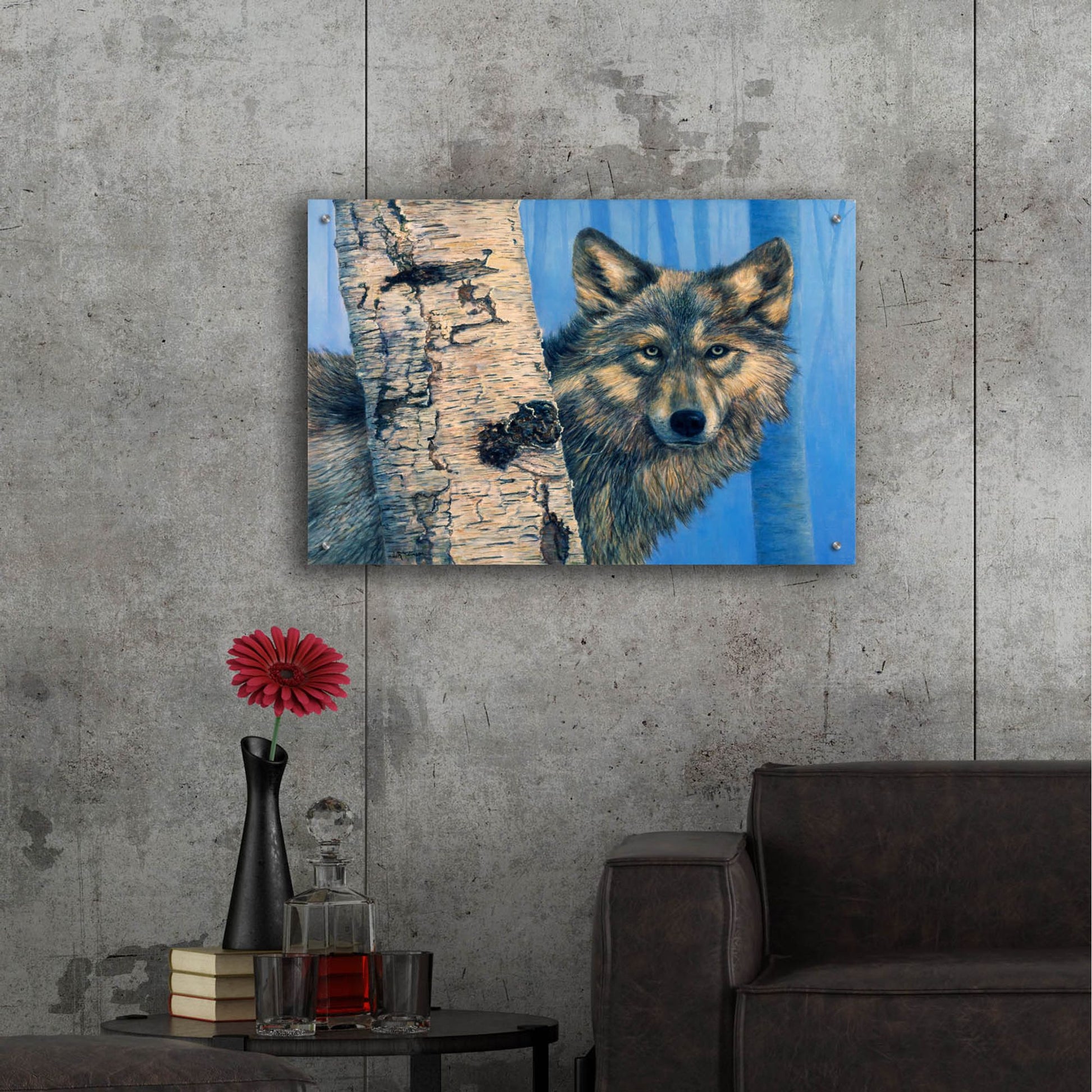 Epic Art 'Birch Wolf' by Bill Makinson, Acrylic Glass Wall Art,36x24