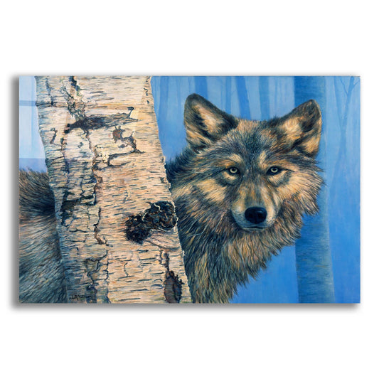 Epic Art 'Birch Wolf' by Bill Makinson, Acrylic Glass Wall Art