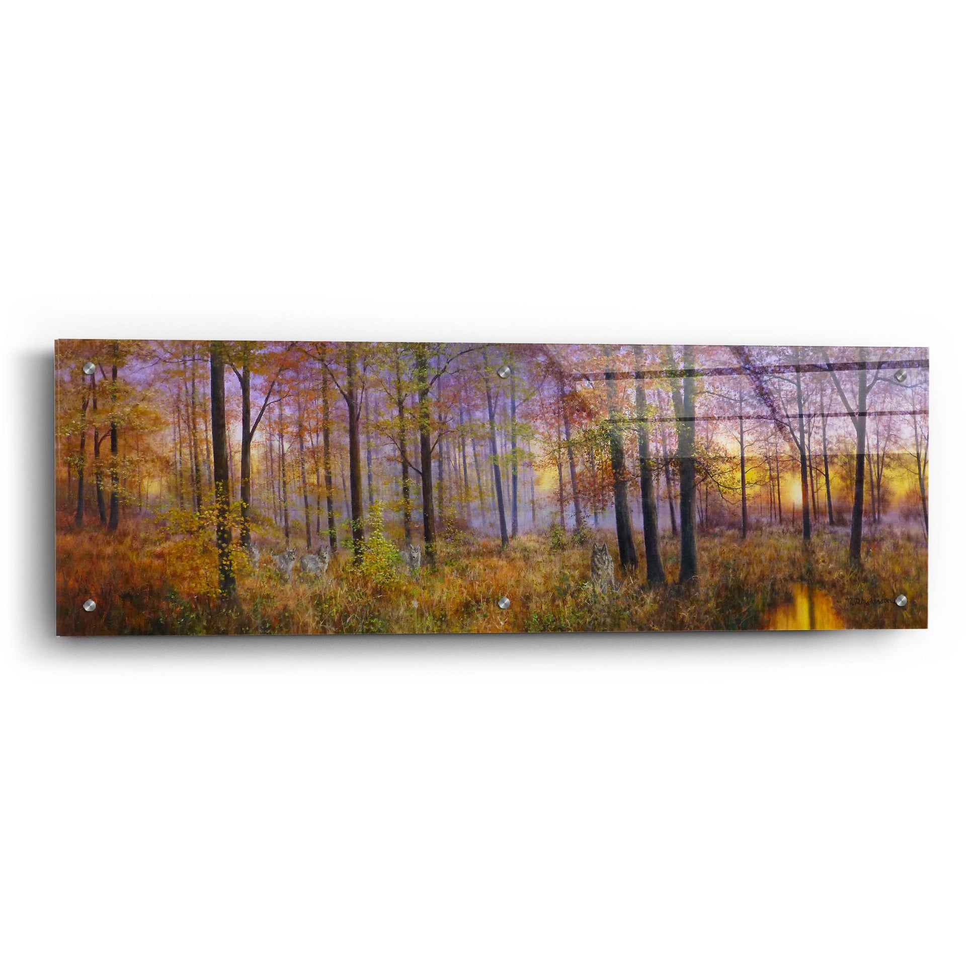 Epic Art 'Autumn Wolves' by Bill Makinson, Acrylic Glass Wall Art,36x12