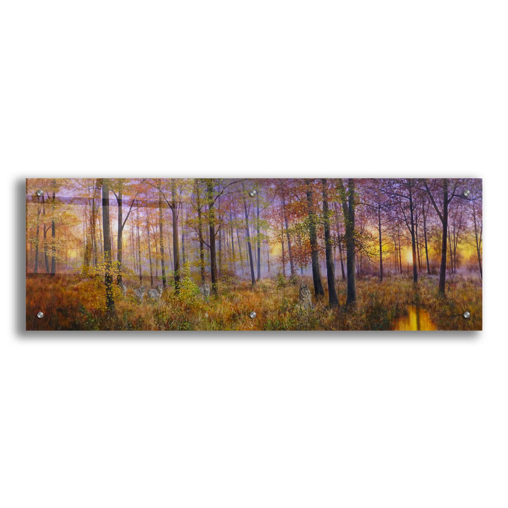 Epic Art 'Autumn Wolves' by Bill Makinson, Acrylic Glass Wall Art,36x12