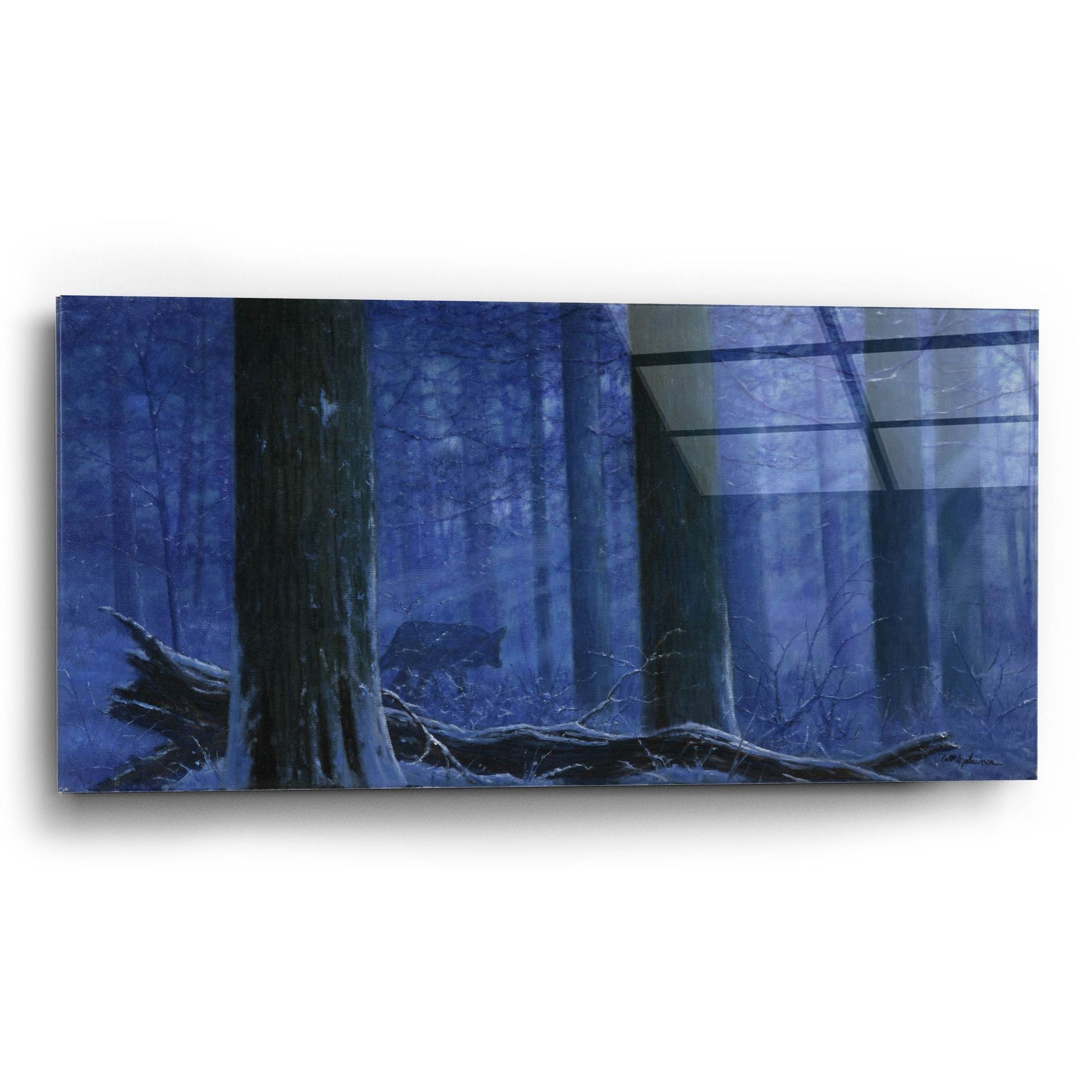 Epic Art 'Blue Wolf' by Bill Makinson, Acrylic Glass Wall Art,24x12