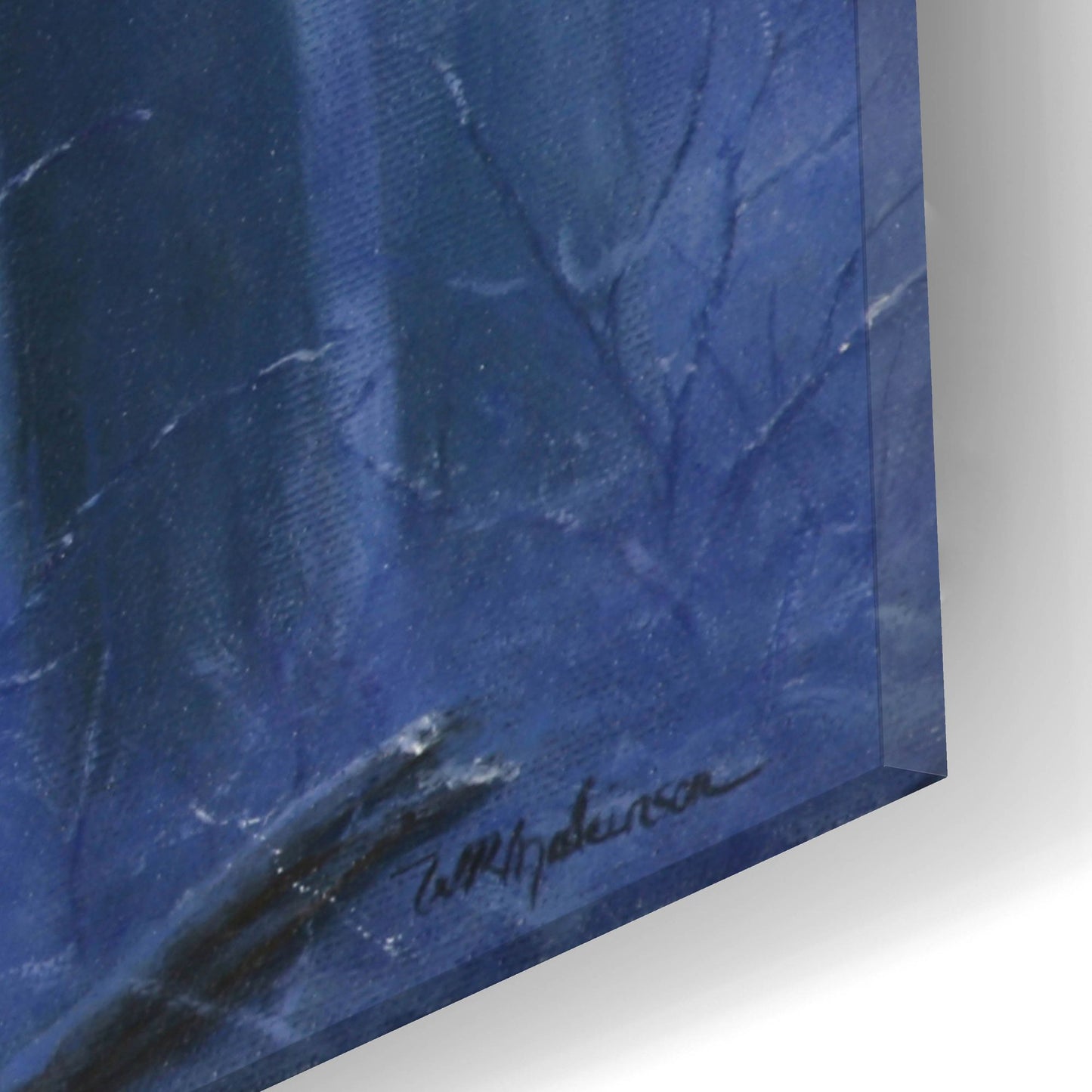 Epic Art 'Blue Wolf' by Bill Makinson, Acrylic Glass Wall Art,24x12