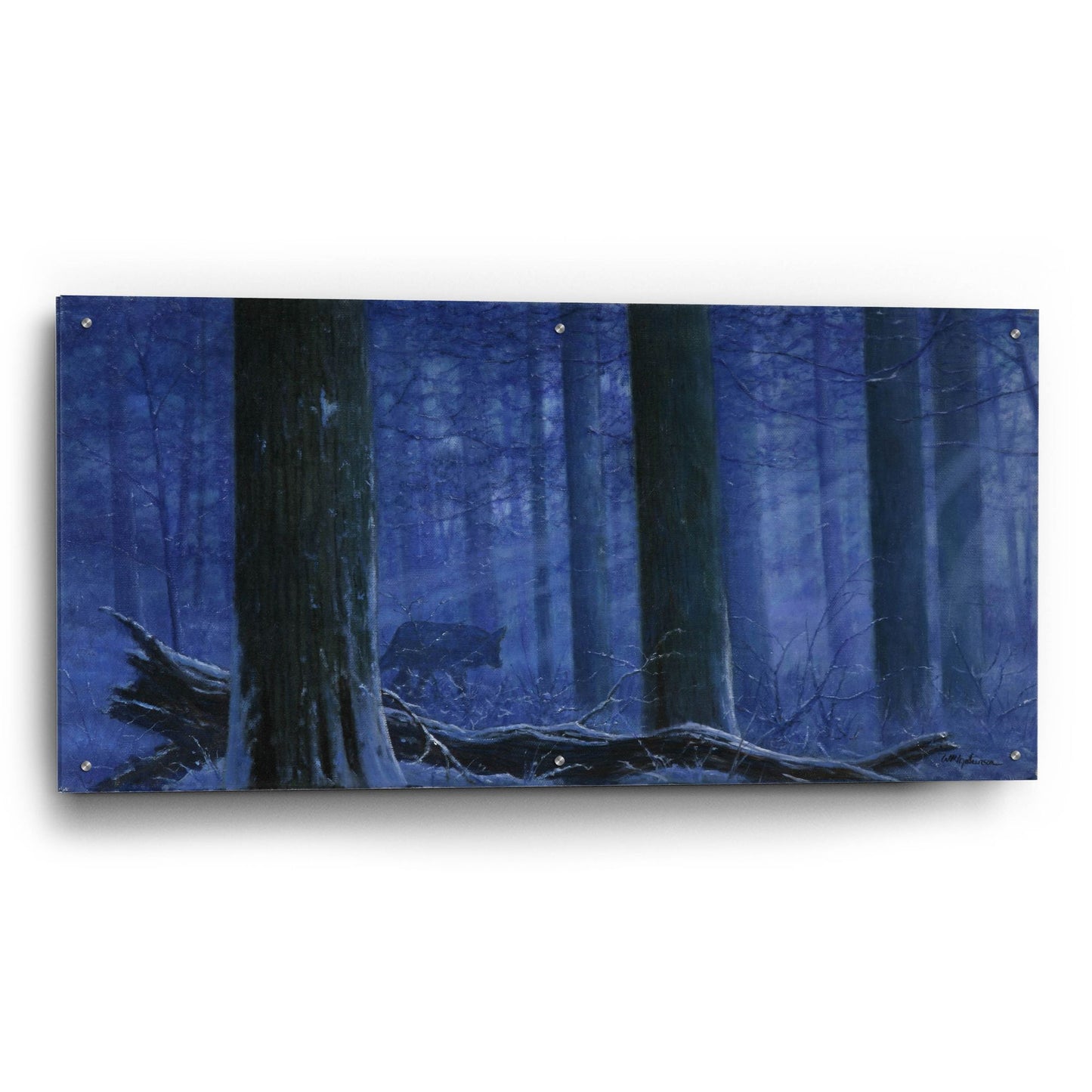 Epic Art 'Blue Wolf' by Bill Makinson, Acrylic Glass Wall Art,48x24