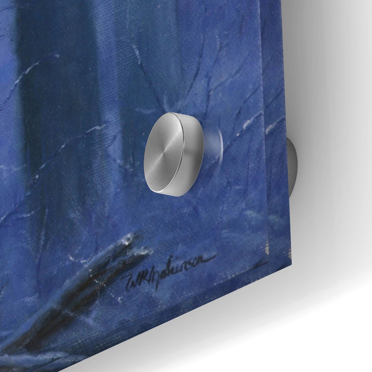 Epic Art 'Blue Wolf' by Bill Makinson, Acrylic Glass Wall Art,48x24